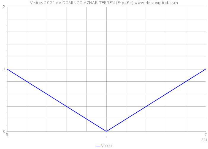Visitas 2024 de DOMINGO AZNAR TERREN (España) 