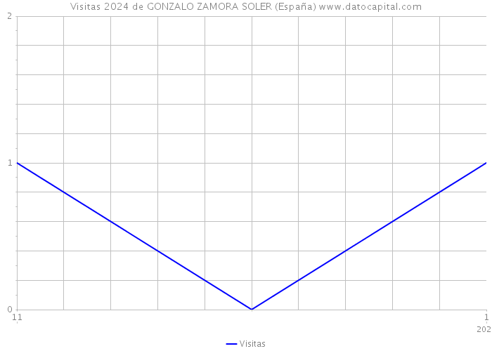 Visitas 2024 de GONZALO ZAMORA SOLER (España) 