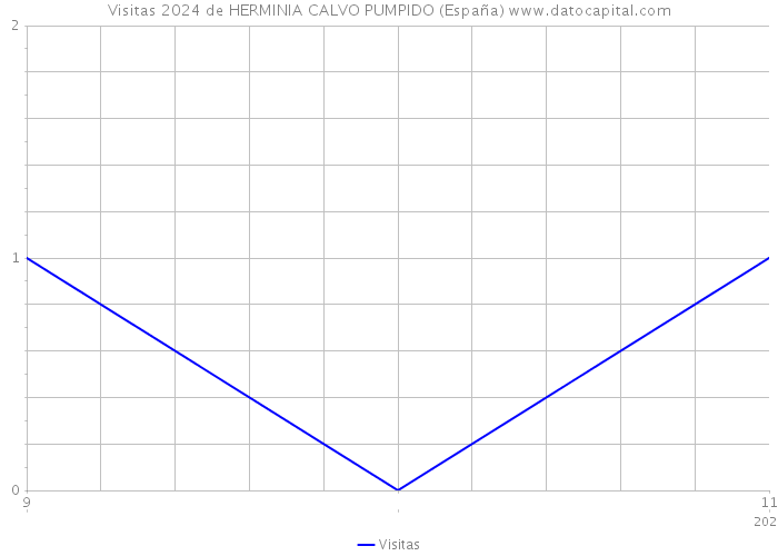 Visitas 2024 de HERMINIA CALVO PUMPIDO (España) 