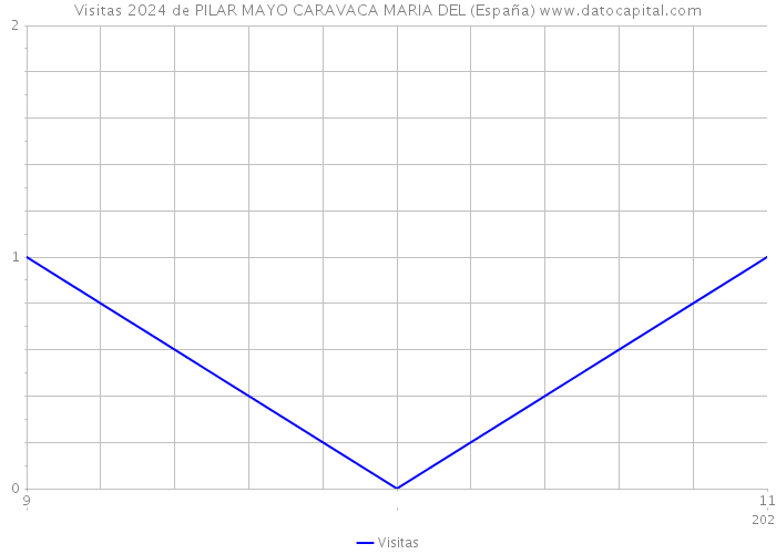 Visitas 2024 de PILAR MAYO CARAVACA MARIA DEL (España) 