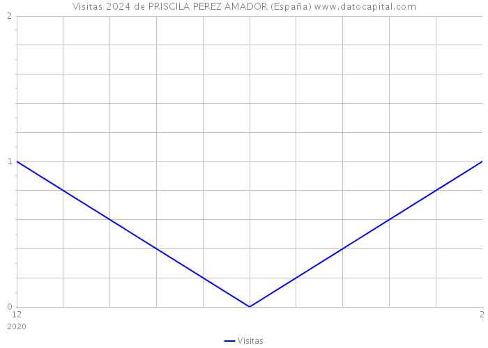 Visitas 2024 de PRISCILA PEREZ AMADOR (España) 
