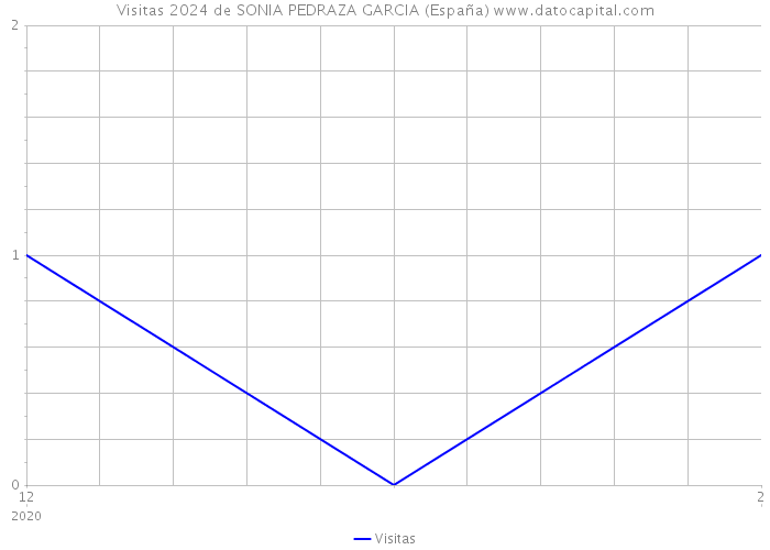 Visitas 2024 de SONIA PEDRAZA GARCIA (España) 