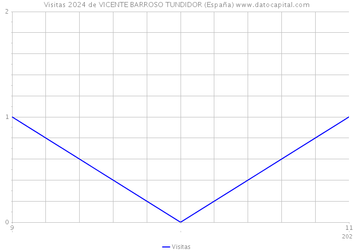 Visitas 2024 de VICENTE BARROSO TUNDIDOR (España) 
