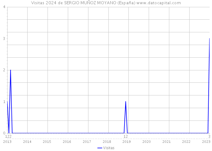 Visitas 2024 de SERGIO MUÑOZ MOYANO (España) 