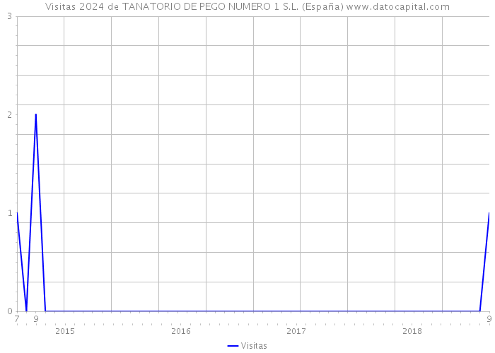 Visitas 2024 de TANATORIO DE PEGO NUMERO 1 S.L. (España) 