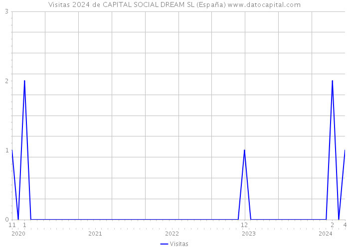 Visitas 2024 de CAPITAL SOCIAL DREAM SL (España) 