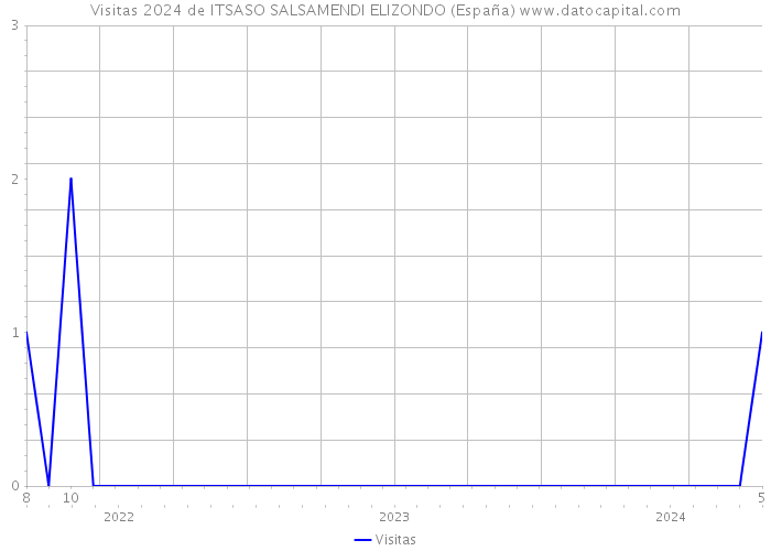 Visitas 2024 de ITSASO SALSAMENDI ELIZONDO (España) 