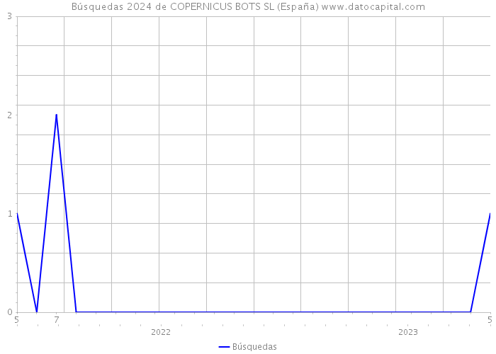 Búsquedas 2024 de COPERNICUS BOTS SL (España) 