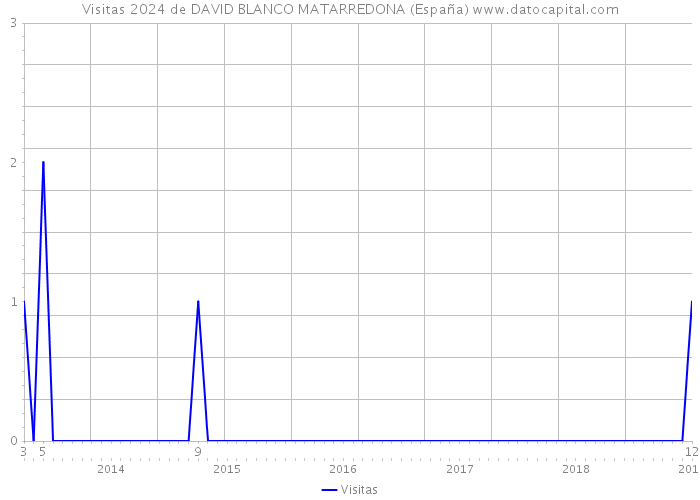 Visitas 2024 de DAVID BLANCO MATARREDONA (España) 