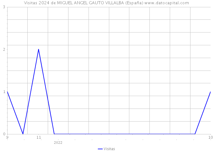 Visitas 2024 de MIGUEL ANGEL GAUTO VILLALBA (España) 