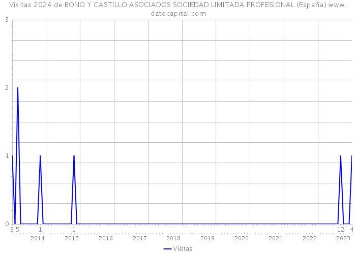 Visitas 2024 de BONO Y CASTILLO ASOCIADOS SOCIEDAD LIMITADA PROFESIONAL (España) 