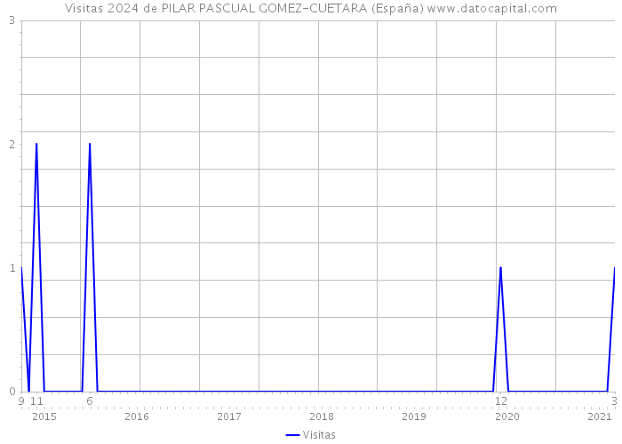 Visitas 2024 de PILAR PASCUAL GOMEZ-CUETARA (España) 