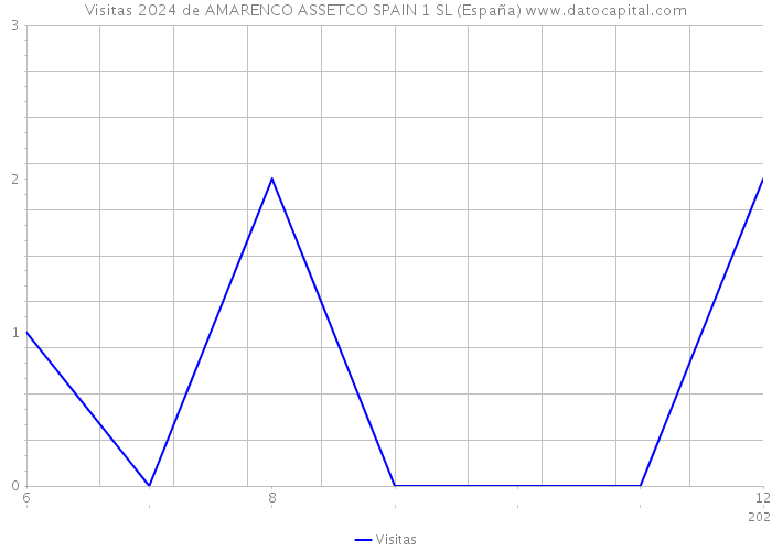 Visitas 2024 de AMARENCO ASSETCO SPAIN 1 SL (España) 