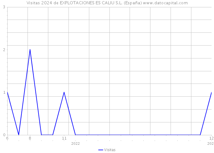 Visitas 2024 de EXPLOTACIONES ES CALIU S.L. (España) 