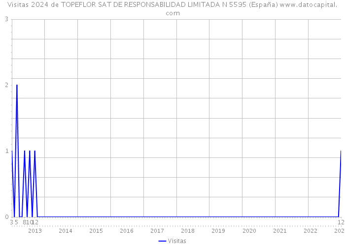 Visitas 2024 de TOPEFLOR SAT DE RESPONSABILIDAD LIMITADA N 5595 (España) 
