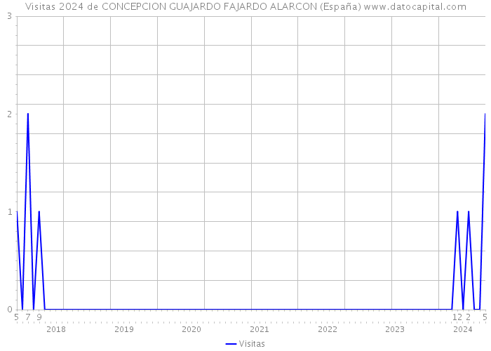 Visitas 2024 de CONCEPCION GUAJARDO FAJARDO ALARCON (España) 