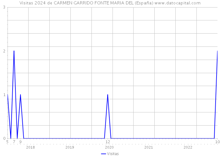 Visitas 2024 de CARMEN GARRIDO FONTE MARIA DEL (España) 