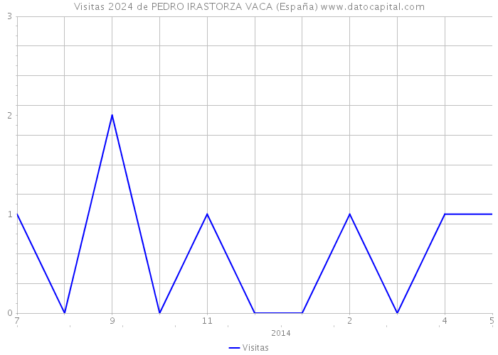 Visitas 2024 de PEDRO IRASTORZA VACA (España) 