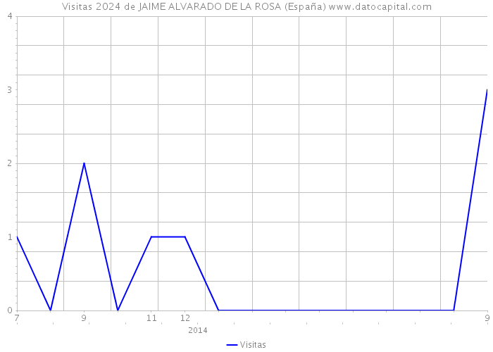 Visitas 2024 de JAIME ALVARADO DE LA ROSA (España) 
