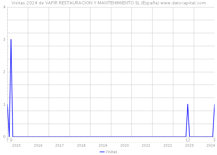 Visitas 2024 de VAFIR RESTAURACION Y MANTENIMIENTO SL (España) 