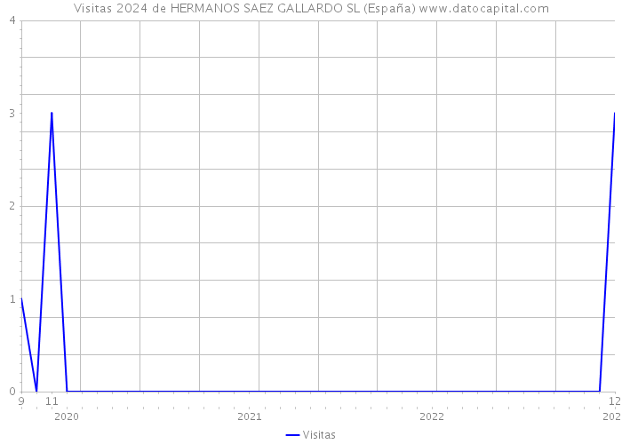 Visitas 2024 de HERMANOS SAEZ GALLARDO SL (España) 