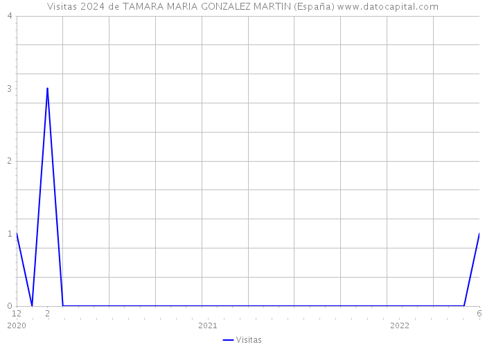 Visitas 2024 de TAMARA MARIA GONZALEZ MARTIN (España) 