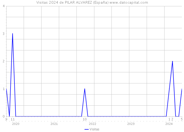 Visitas 2024 de PILAR ALVAREZ (España) 