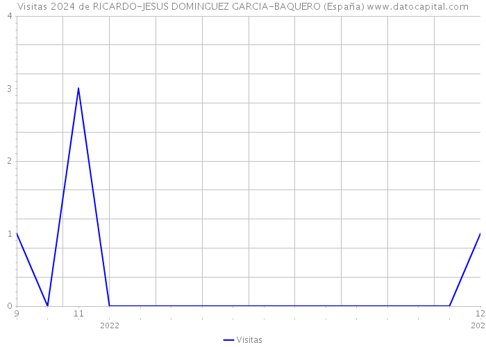 Visitas 2024 de RICARDO-JESUS DOMINGUEZ GARCIA-BAQUERO (España) 