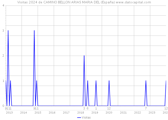 Visitas 2024 de CAMINO BELLON ARIAS MARIA DEL (España) 