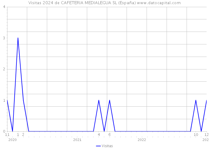 Visitas 2024 de CAFETERIA MEDIALEGUA SL (España) 