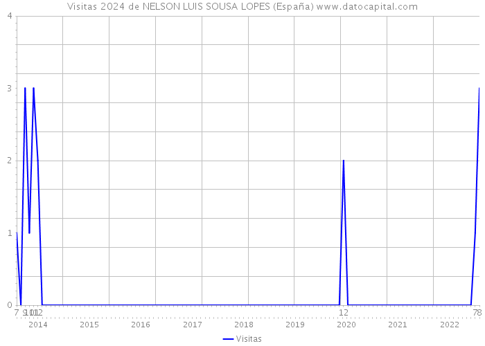 Visitas 2024 de NELSON LUIS SOUSA LOPES (España) 