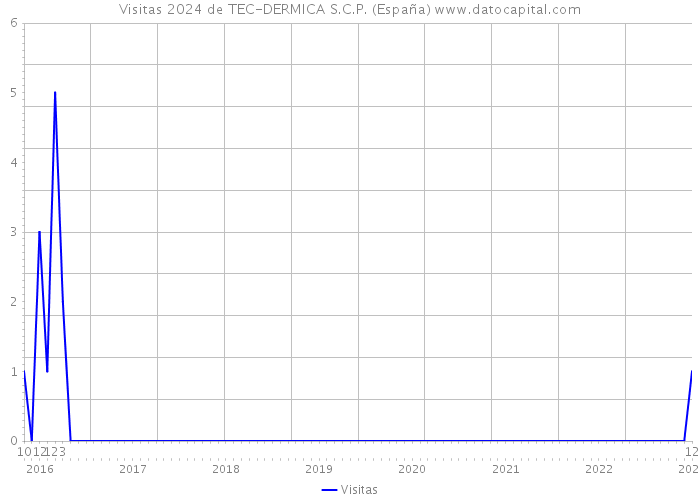 Visitas 2024 de TEC-DERMICA S.C.P. (España) 