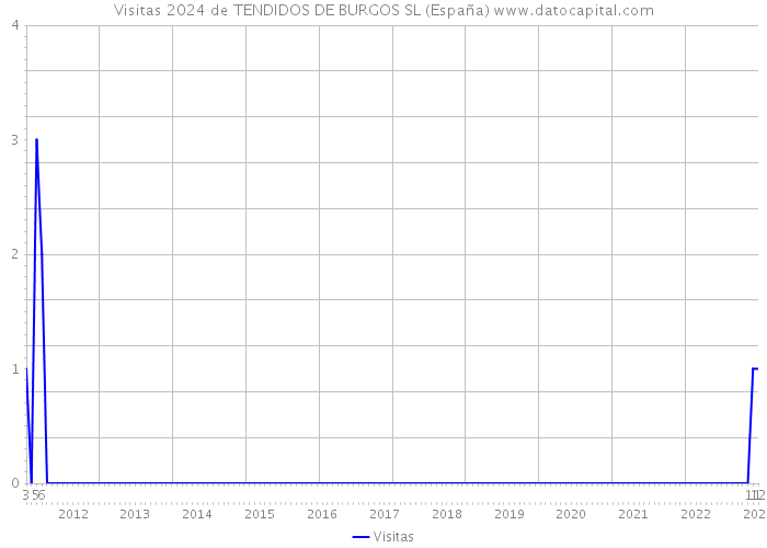 Visitas 2024 de TENDIDOS DE BURGOS SL (España) 