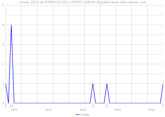 Visitas 2024 de PURIFICACION CASTRO GARCIA (España) 