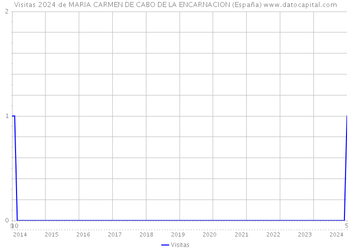 Visitas 2024 de MARIA CARMEN DE CABO DE LA ENCARNACION (España) 