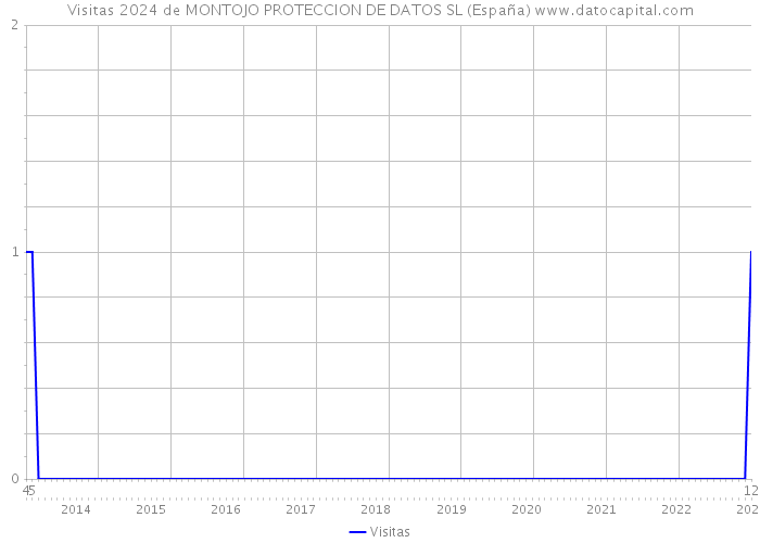 Visitas 2024 de MONTOJO PROTECCION DE DATOS SL (España) 