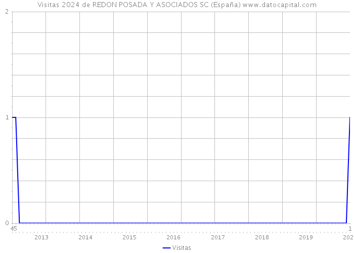 Visitas 2024 de REDON POSADA Y ASOCIADOS SC (España) 