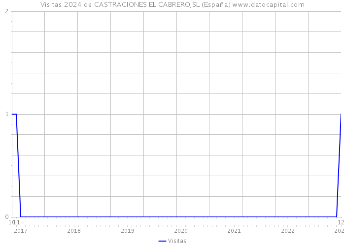 Visitas 2024 de CASTRACIONES EL CABRERO,SL (España) 