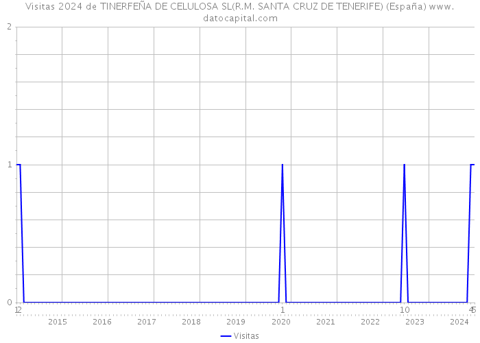Visitas 2024 de TINERFEÑA DE CELULOSA SL(R.M. SANTA CRUZ DE TENERIFE) (España) 