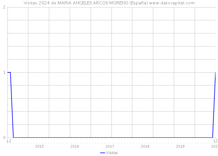 Visitas 2024 de MARIA ANGELES ARCOS MORENO (España) 
