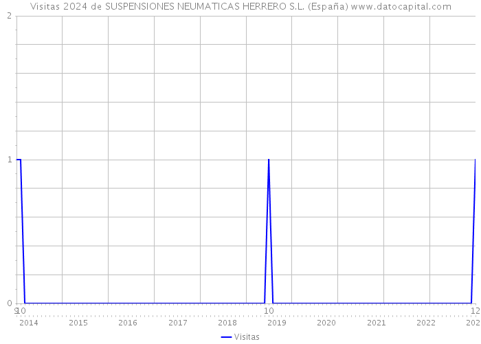 Visitas 2024 de SUSPENSIONES NEUMATICAS HERRERO S.L. (España) 