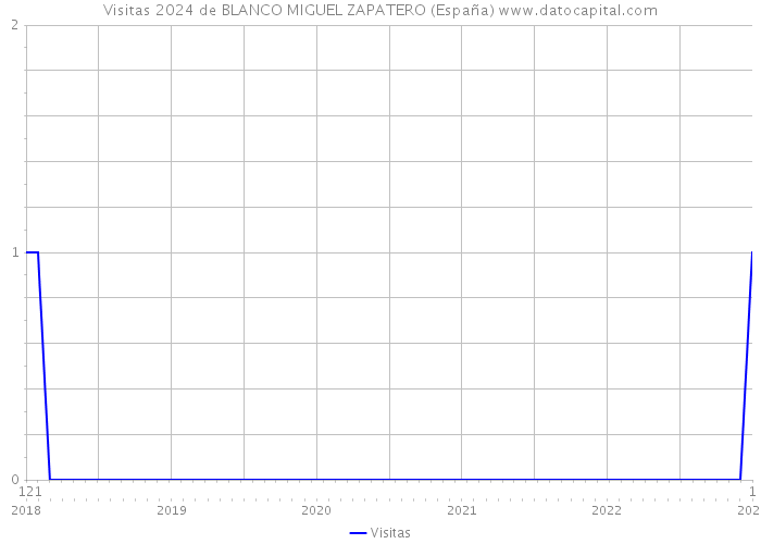 Visitas 2024 de BLANCO MIGUEL ZAPATERO (España) 