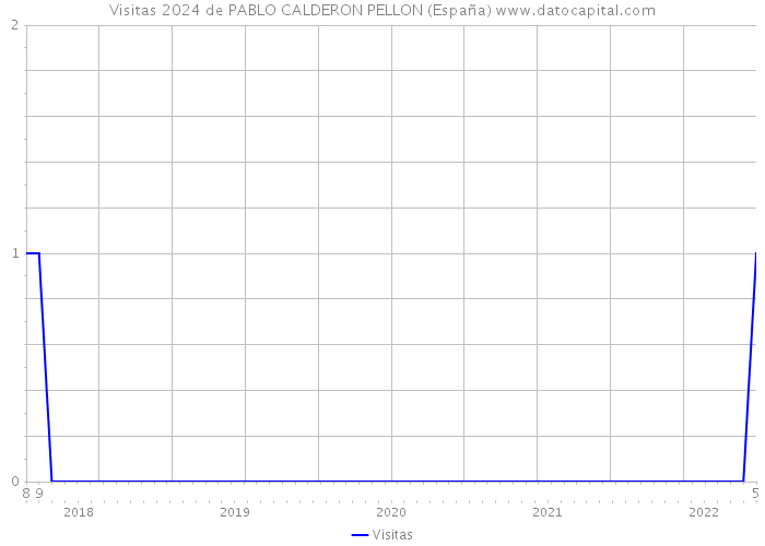 Visitas 2024 de PABLO CALDERON PELLON (España) 