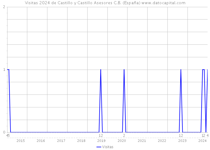 Visitas 2024 de Castillo y Castillo Asesores C.B. (España) 