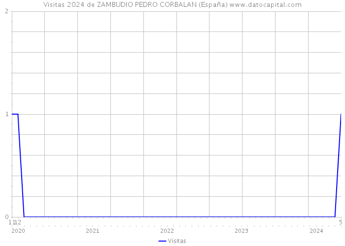 Visitas 2024 de ZAMBUDIO PEDRO CORBALAN (España) 