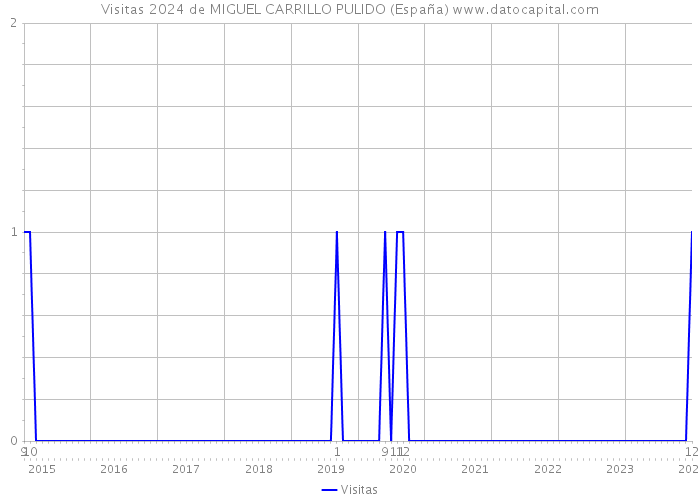 Visitas 2024 de MIGUEL CARRILLO PULIDO (España) 