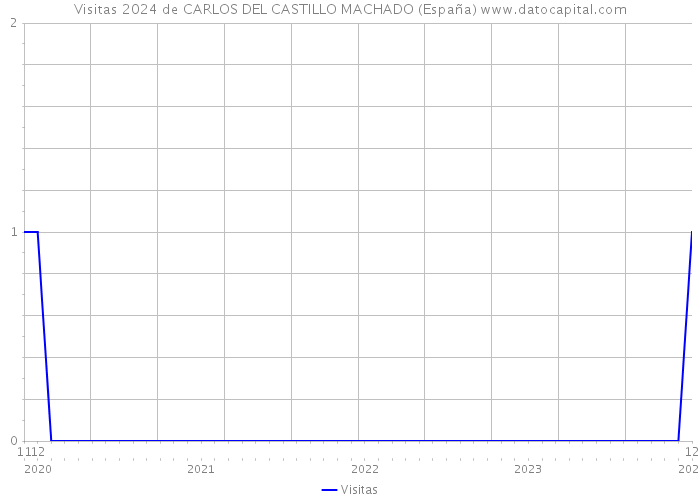 Visitas 2024 de CARLOS DEL CASTILLO MACHADO (España) 