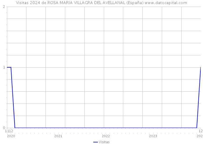 Visitas 2024 de ROSA MARIA VILLAGRA DEL AVELLANAL (España) 