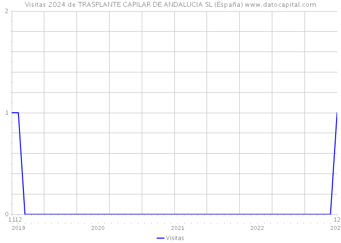 Visitas 2024 de TRASPLANTE CAPILAR DE ANDALUCIA SL (España) 