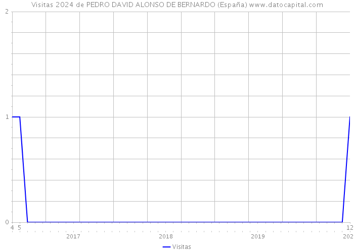 Visitas 2024 de PEDRO DAVID ALONSO DE BERNARDO (España) 